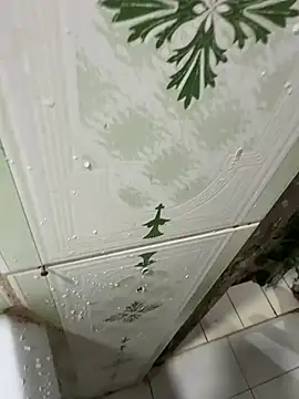 dilu98 online show from December 18, 1:22 am