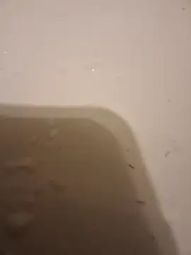 moasslicker online show from October 21, 4:46 am