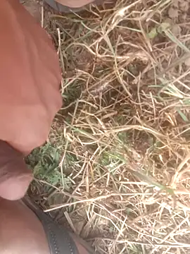 perplexedsoul online show from December 1, 9:14 am