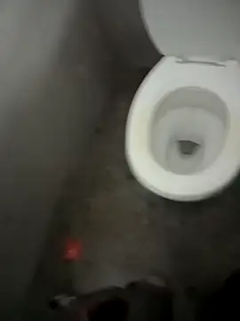 paptsimo online show from December 13, 7:53 pm