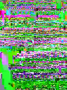 Punjabi Jaati online show from December 19, 2:46 pm