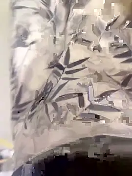 Snapshot of xiaoyuan01 chatting on October 10, 1:37 am xiaoyuan01 online show from October 10, 1:37 am