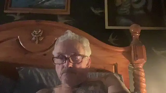 poggles online show from November 26, 10:00 pm