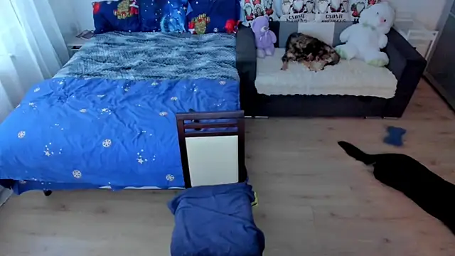 Squirt Kimm online show from November 30, 12:20 pm