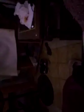 DannyRosarioxxx online show from November 14, 6:28 pm