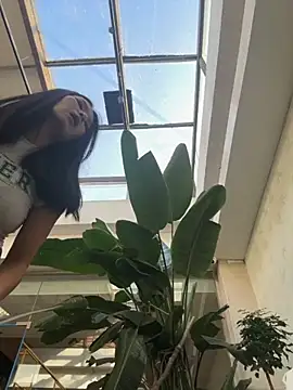 Snapshot of Ninazhang chatting on November 11, 1:38 am Ninazhang online show from November 11, 1:38 am