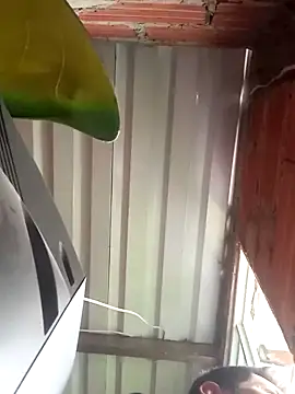 527ca online show from April 4, 3:42 pm