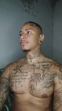 David tatto1 online show from March 3, 3:34 am