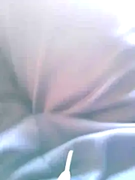 92donis online show from October 26, 7:36 am