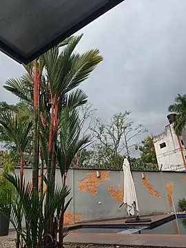 Yessica Lopezz online show from February 13, 12:23 pm