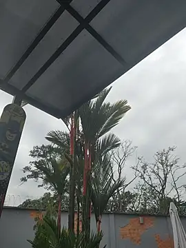 Yessica Lopezz online show from March 5, 11:28 am