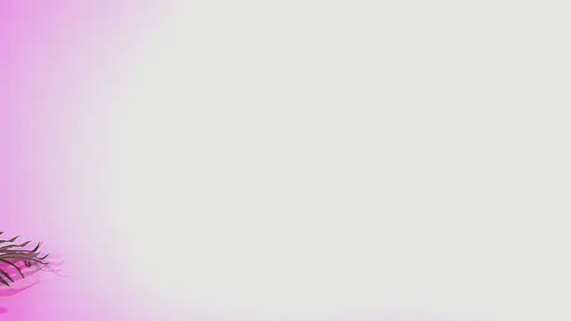 Lana ortega online show from July 5, 4:52 am