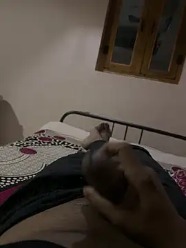 tippytop 311 online show from October 5, 7:56 pm