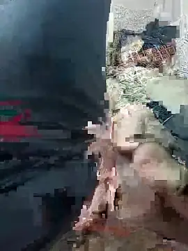 svvagesexyy online show from January 13, 7:41 pm