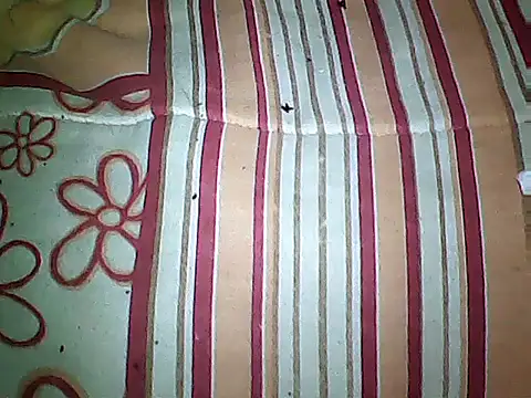 Snapshot of 20cmloiro chatting on September 16, 3:51 am 20cmloiro online show from September 16, 3:51 am