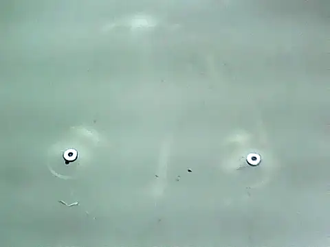 20cmloiro online show from January 15, 12:59 am