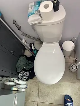 BobKat online show from November 1, 1:46 pm