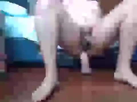 Snapshot of Culazodeantonellarocuzzo chatting on September 15, 3:34 pm Culazodeantonellarocuzzo online show from September 15, 3:34 pm