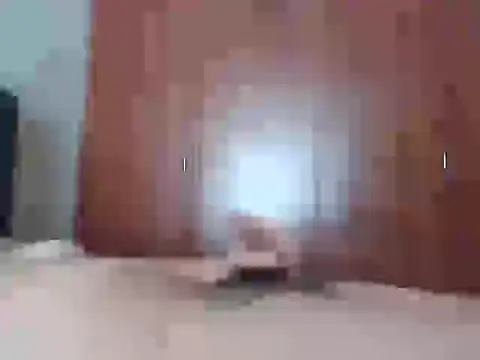 Snapshot of Culazodeantonellarocuzzo chatting on February 25, 3:21 pm Culazodeantonellarocuzzo online show from February 25, 3:21 pm