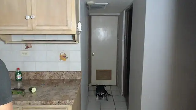 Snapshot of BlondZilla chatting on November 17, 12:49 am BlondZilla online show from November 17, 12:49 am