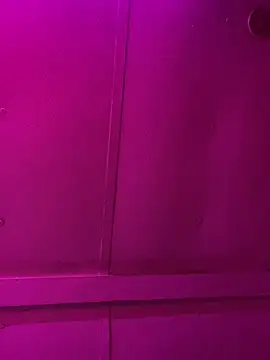 jcwxt online show from March 1, 11:56 am