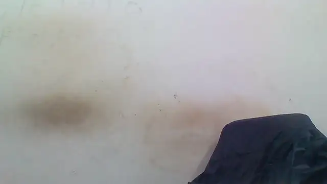 sasatimido online show from December 3, 1:31 pm