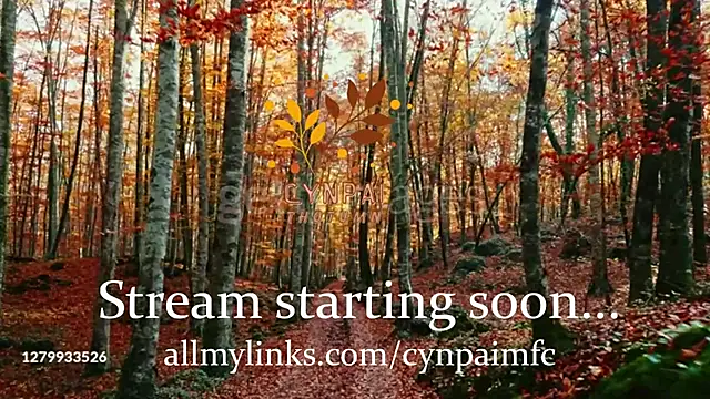 Cynpai online show from November 10, 4:44 am