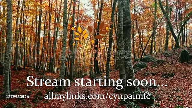 Cynpai online show from November 17, 4:29 am