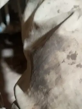 ParousFlow online show from October 15, 9:37 pm