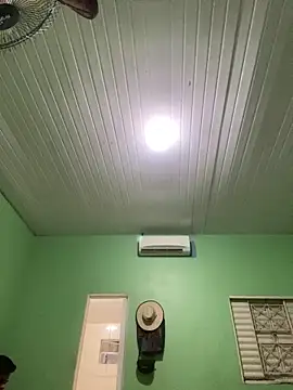 wl20002 online show from February 7, 2:04 am