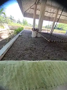 Desi Horny Boys online show from March 24, 8:19 am