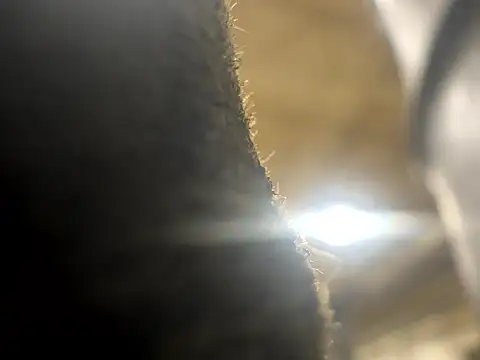 curis4270panda online show from March 18, 11:41 pm