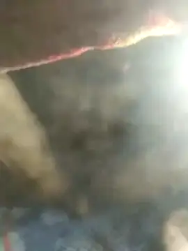 Elvergudisimo online show from October 26, 11:05 am