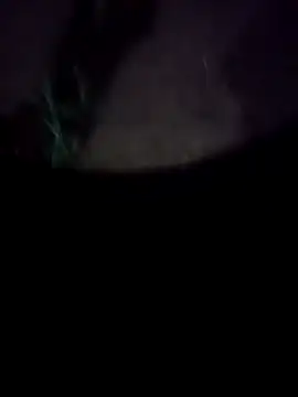 mkallu1995 online show from February 18, 5:20 pm