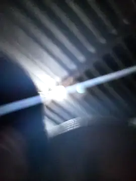 DOLLY501 online show from February 3, 8:03 pm