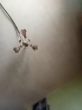 ToughDraft14 online show from April 27, 5:16 am