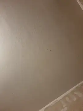 gazb90 online show from January 14, 8:03 pm