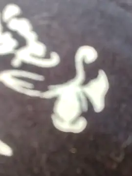 Snapshot of papukurty chatting on February 22, 12:15 pm papukurty online show from February 22, 12:15 pm