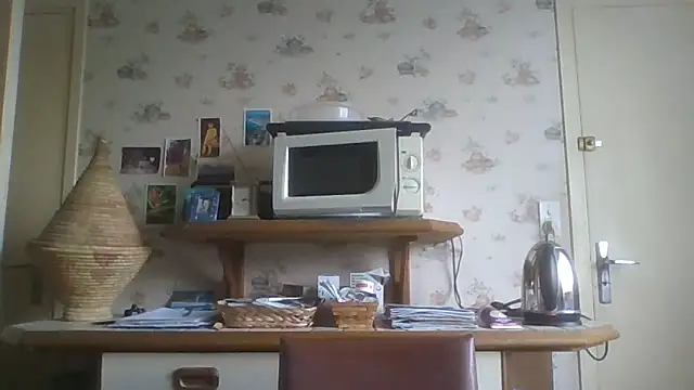 gegevincent online show from February 9, 2:32 pm