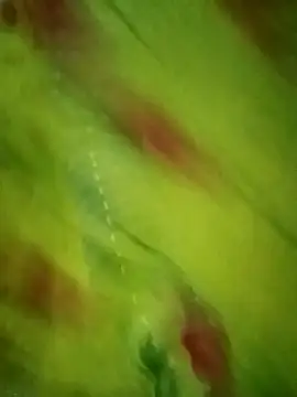 Snapshot of Shiya_janu chatting on October 27, 11:14 am Shiya janu online show from October 27, 11:14 am