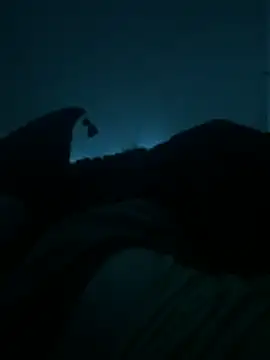 bjarson123 online show from February 11, 10:53 am