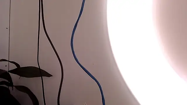 saara johnson496 online show from September 24, 3:15 pm