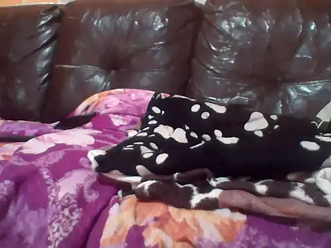 PREDADOR76 online show from October 10, 4:39 pm