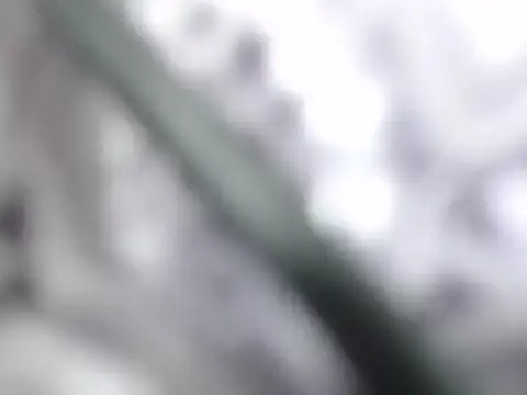 ble wilos online show from November 23, 11:59 pm