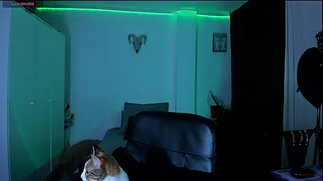 Snapshot of kattusauruss chatting on March 22, 2:26 am kattusauruss online show from March 22, 2:26 am