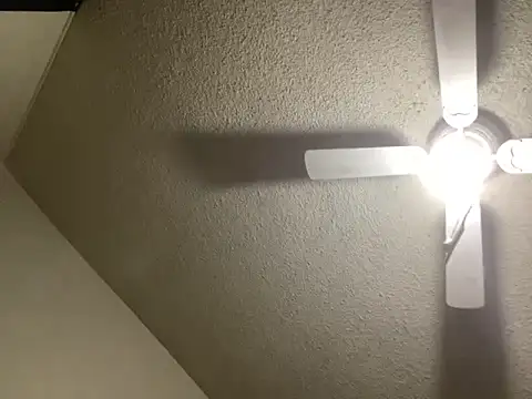 NiftyCaptain3 online show from March 31, 3:45 pm