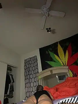 NiftyCaptain3 online show from April 3, 7:06 am