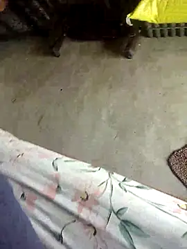 Telugu person12 online show from September 30, 6:51 am