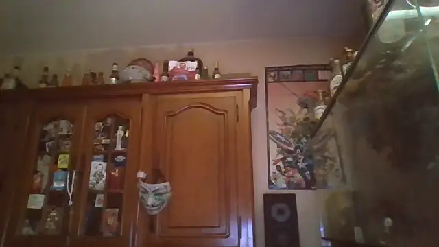 zipman92 online show from January 15, 5:45 am