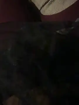 Snapshot of nenad062 chatting on December 17, 7:03 am nenad062 online show from December 17, 7:03 am